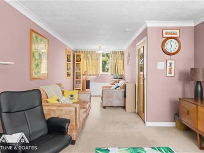 Picture 7